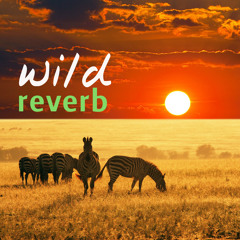 Wild Reverb