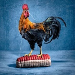 Vincent Peinoit