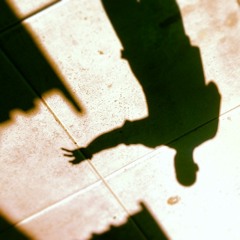 The Transit Collective