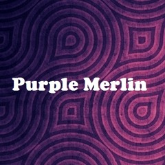 Purple Merlin