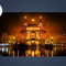 Manni Singh