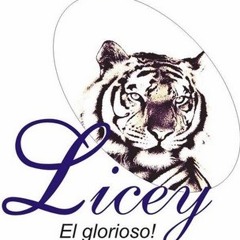 cerveceros de lo mio