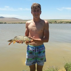a3aan_bass