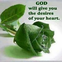 Joy Ladyconfidant Palmer