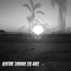 Venture Through The Gray