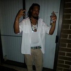 Hollis King Lion Regis