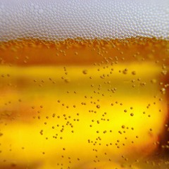 Die deutschen Brauer