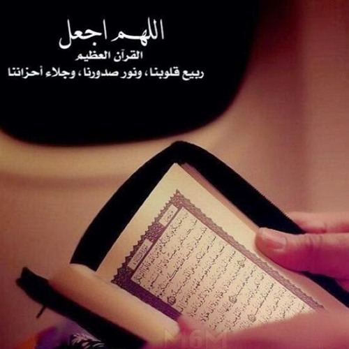 الشيخ سعيد محمد نور