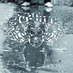 Tekno IRapIDon'tDance!