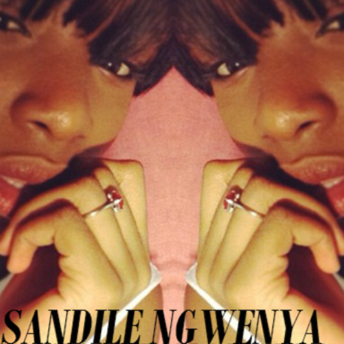 Sandile Ngwenya’s avatar