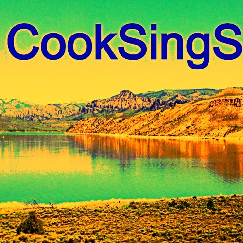 Cooksings’s avatar