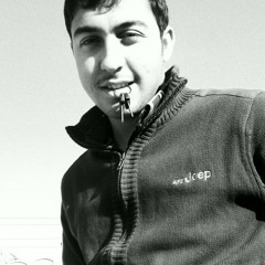 Zahid Ali Shad