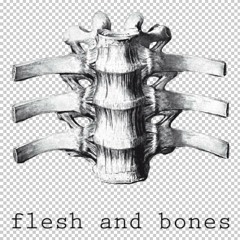 Flesh and Bones