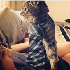 Caitlin Woody Joyner