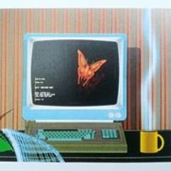 Michiel van der Zanden