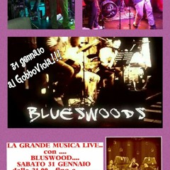 BlueswoodS