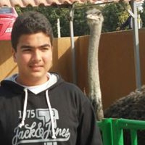 Mahmoud Mourshed’s avatar