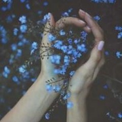 Hadeel Mahmoud