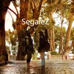 Mauricio Segales