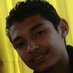 ياسمينا العلوانى