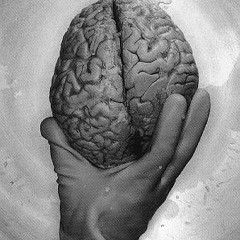BRAINTOUCH