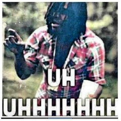 shimz_100