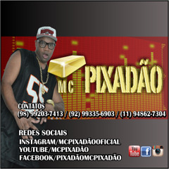 MCPIXADAO