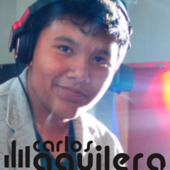 Carlos Adrian Aguilera M.