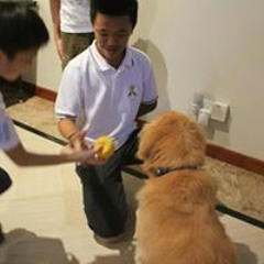 Jeremy Likes Lion Dances