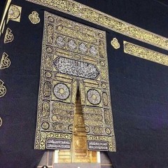 afnan_elkady