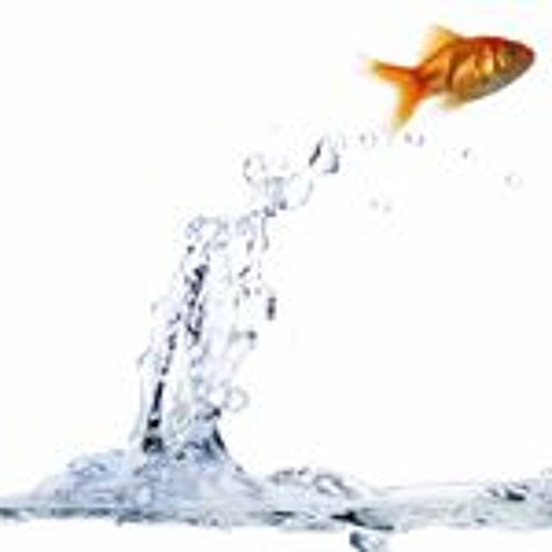 حبيبي تعال.mp3.mp4.m4a