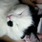 user2614068