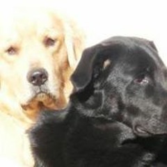 Dolores Leonor Etchart