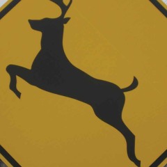 The Sweater Monsters