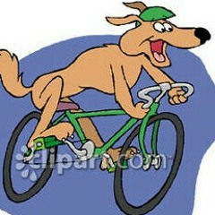 cycling diogee
