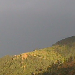 Hazor meri To sari bahar