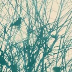 santa ercira ramirez baez