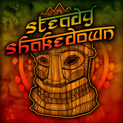 steadyshakedown