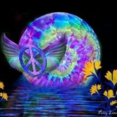 Maureen Thomas-Petrosh