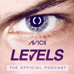 Avicii - Le7els 32