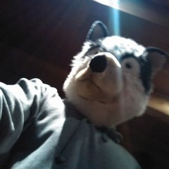 KOeJacK