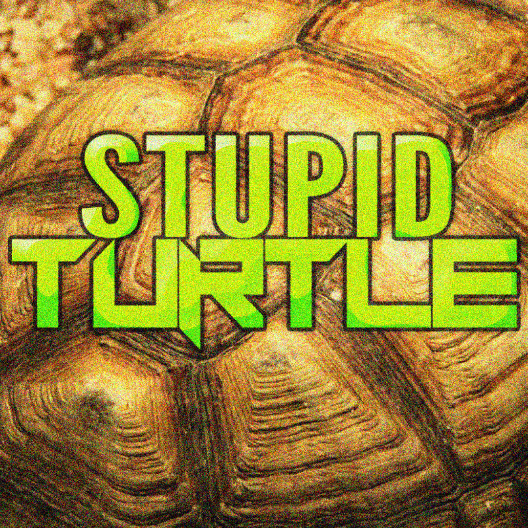 Stream Stupid Turtle [Official] music | Listen to songs, albums ...