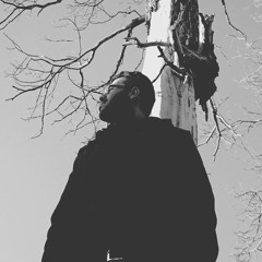 Majid Aliyare