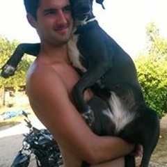 Bartomeu Verger Fornés