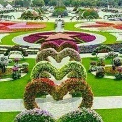 shamsa_2015