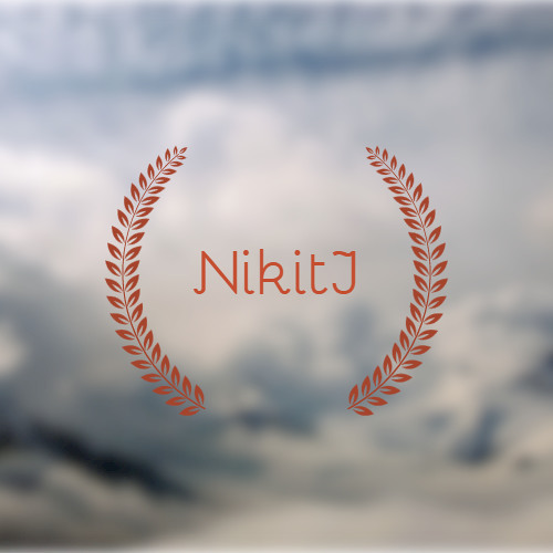 ♕ NikitJ ♕’s avatar