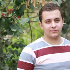 Mahmoud Elgaml