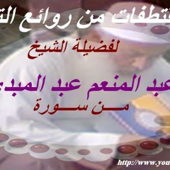 amr almamly