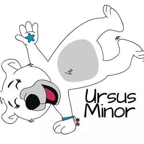 Radio Ursus’s avatar