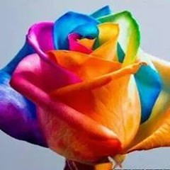 Kashawnidra Tiff Curry